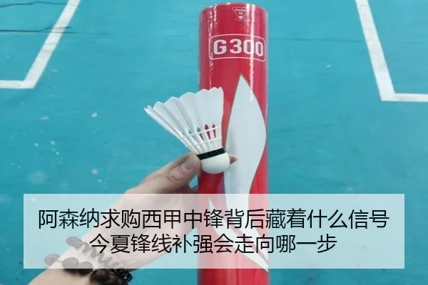 阿森纳求购西甲中锋背后藏着什么信号 今夏锋线补强会走向哪一步 - ayx